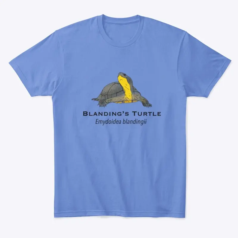 Blanding's Turtle